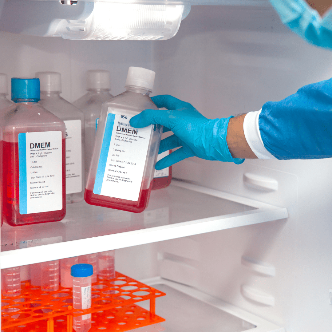 Sample stored in Refrigerator for Laboratory use